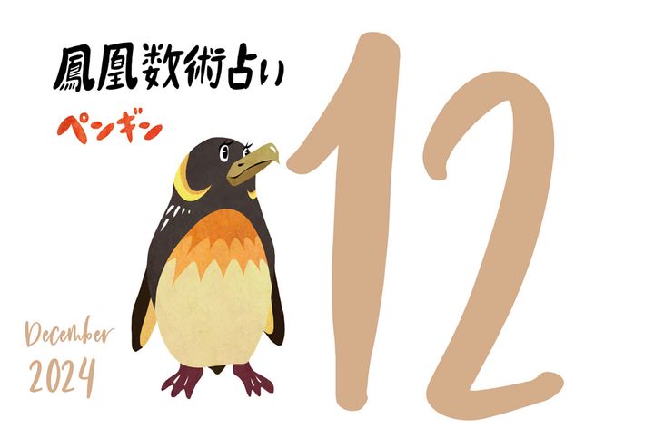 【今月の運勢】人気占い師・暮れの酉さんが観る2024年12月の運勢【鳳凰数術占い】