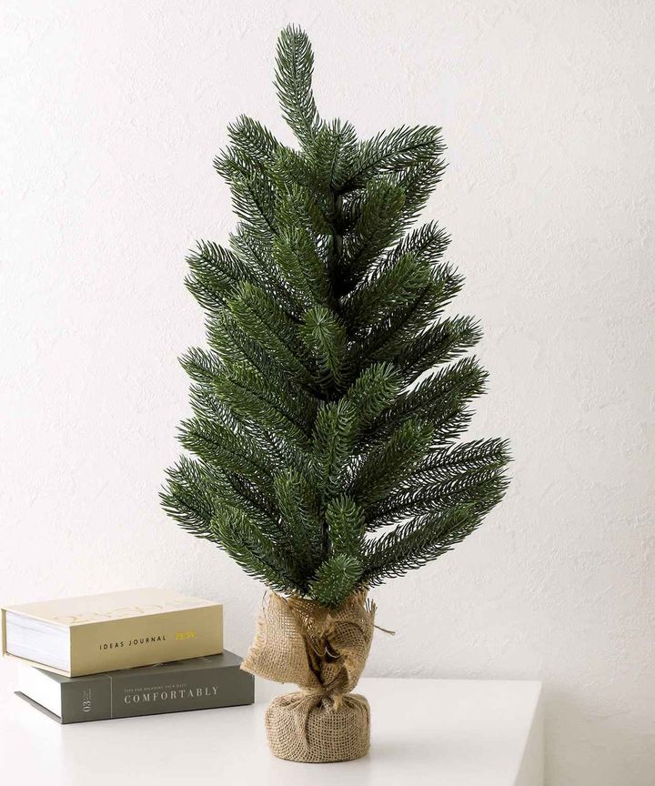 画像4: 出典：3COINS