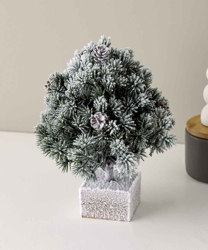 画像2: 出典：3COINS