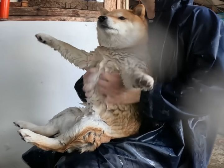 お膝に座ってお風呂タイム！？