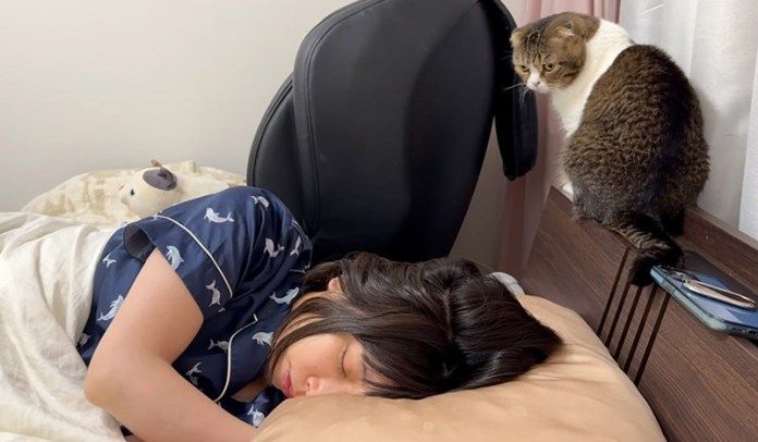 ママに起きて欲しい猫