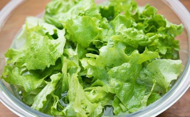レタスサラダのイメージ