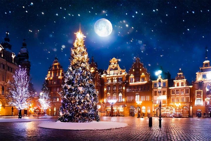 2024年12月の運勢（12星座別）