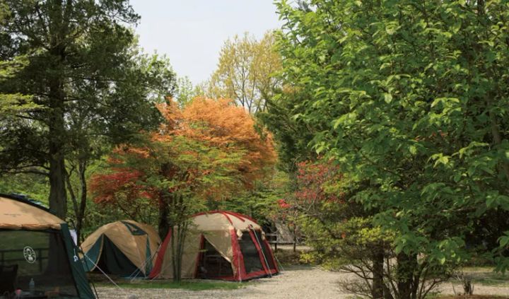 冬キャンプにおすすめ！温泉に入浴できるキャンプ場15選【栃木県】