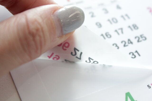 ダイソー 2025年カレンダー（ステッカー） 剝がせる