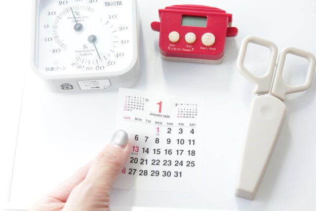 ダイソー 2025年カレンダー（ステッカー） 貼って剥がせる