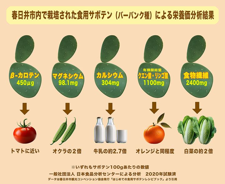 サボテン栄養価表