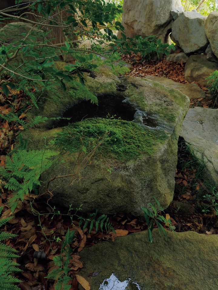 建築家・西口賢が建築した家の中庭