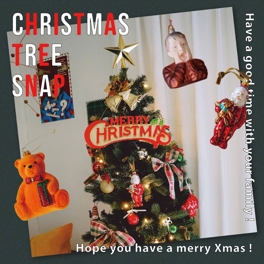 小さな魔女の棲む森 ～Trulli～(トゥルッリ)】クリスマスツリー