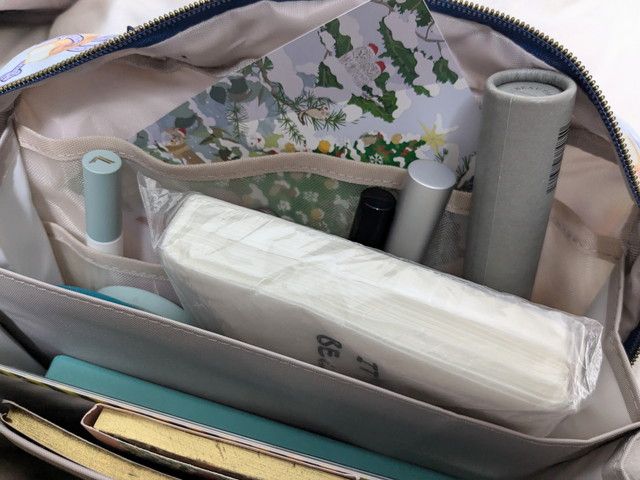 文具ポーチに収納したところ