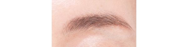 濃い眉／3DアイブロウカラーZ BR-3