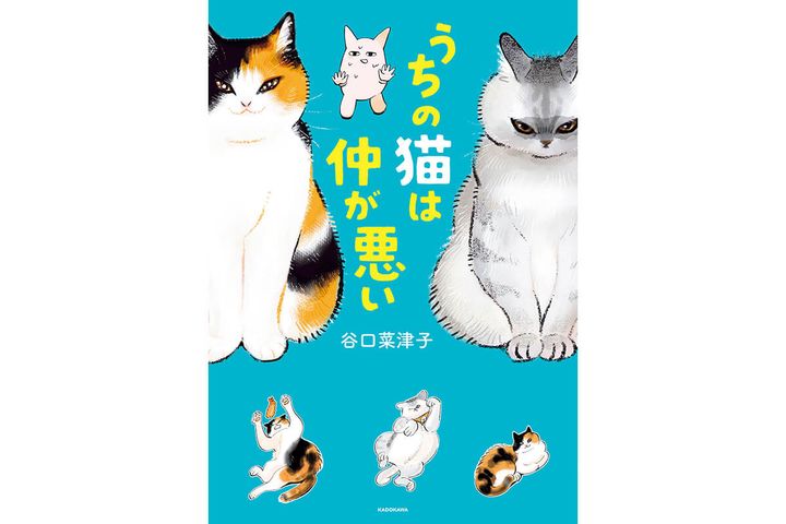 『うちの猫は仲が悪い』谷口菜津子／著