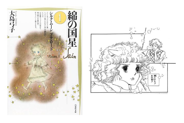 『綿の国星』大島弓子