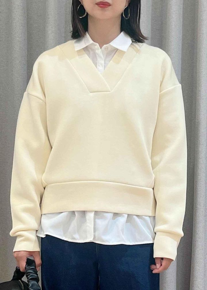 画像1: 出典：VIS