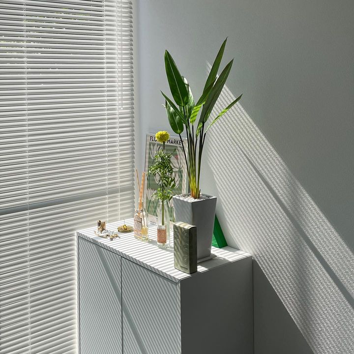 一人暮らしだからこそ自分好みに！お手本にしたいワンルームのインテリア3選