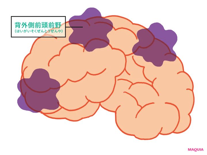 ネット漬けの人は必読！ 脳疲労が起きた時、脳内ではこんなことが起こっている_3