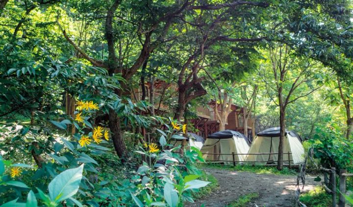 天然温泉に入れる！ 冬キャンプに絶対に行きたいキャンプ場9選【埼玉県】