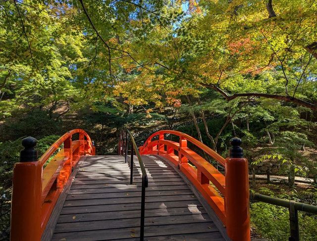 11月下旬撮影 (277109)