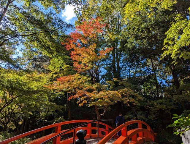 2024.11月下旬撮影 (277101)