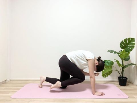 バードドッグ（アレンジバージョン）２