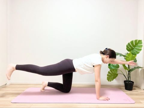 バードドッグ（アレンジバージョン）