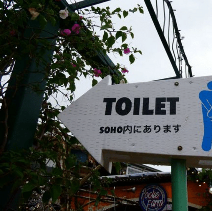 沖縄で見かけた「トイレ看板」写真にクスッ！＜看板にまつわる
