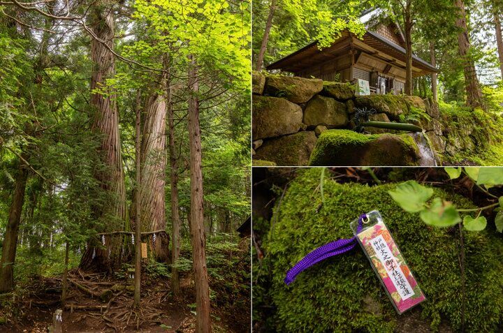 パワーを授かりに長野・戸隠へ♪ 天の岩戸神話ゆかりの「戸隠神社」五社めぐり
