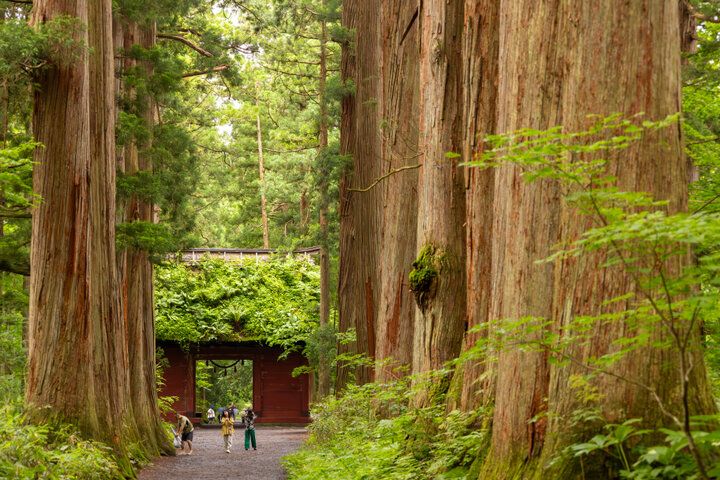 パワーを授かりに長野・戸隠へ♪ 天の岩戸神話ゆかりの「戸隠神社」五社めぐり