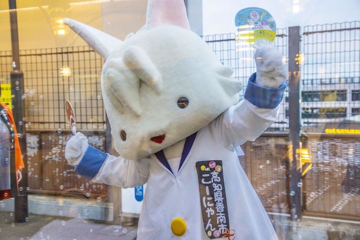 志国土佐時代の夜明け物語り 雄飛の抄