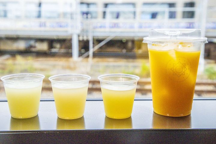 志国土佐時代の夜明け物語り 雄飛の抄