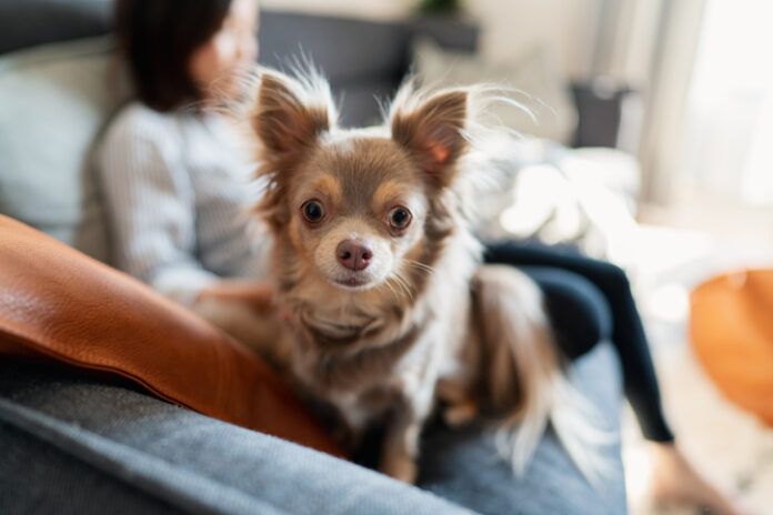 気が付かずに言ったらドン引きされる… とんでも失礼発言4選