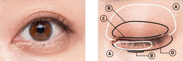 二重／グラデ×ライン効果でくっきりデカ目