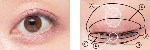 二重／中央に光を集めて瞳の吸引力をアップ