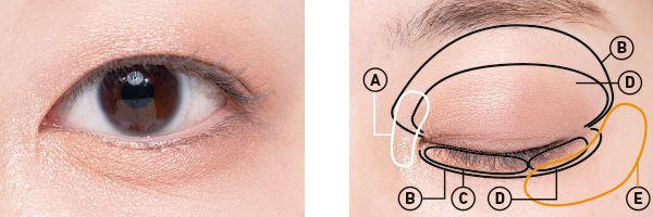 奥二重／広めのキラキラブラウンでくすまず立体感を