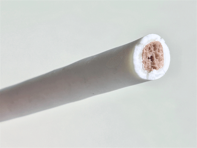 ポッキー2層仕立て＜バニラ香るホワイト＞断面