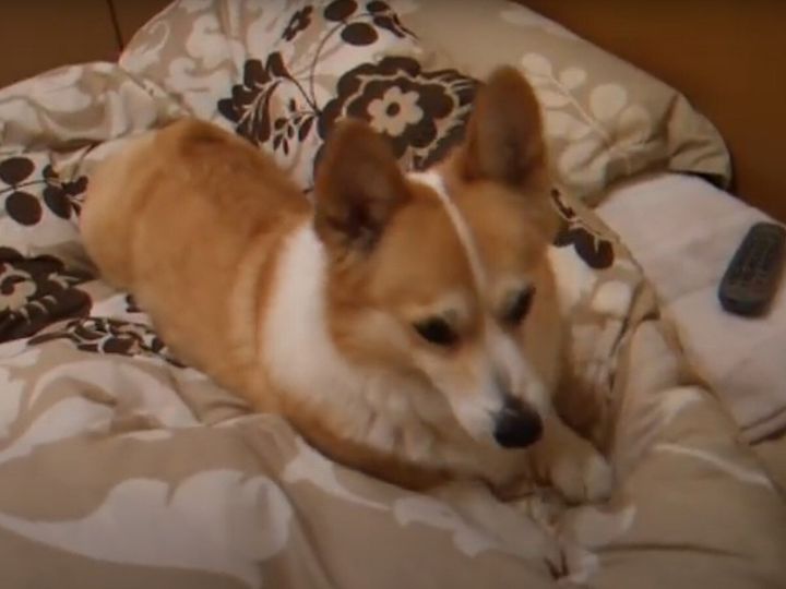 しっかり押さえつけてる！