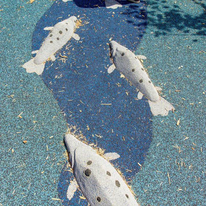 サーモンの遊具