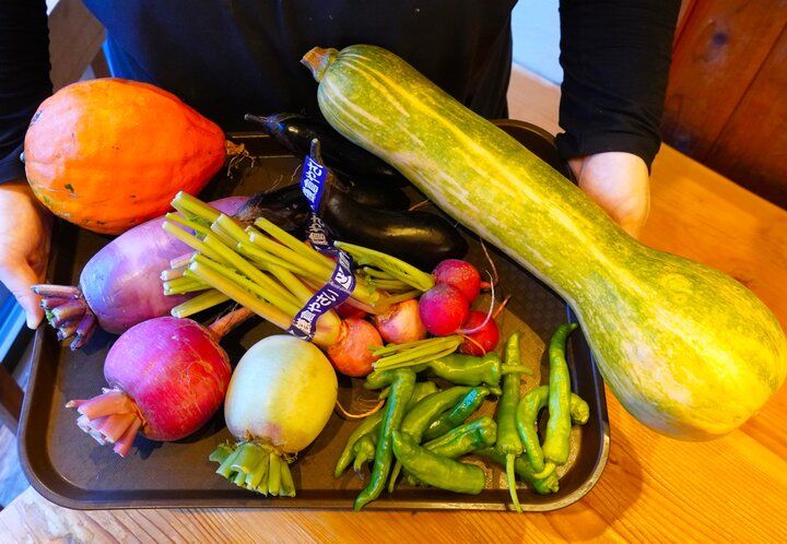 鎌倉の小町通りで湘南しらすたっぷりのお昼ごはん♪朝獲れが嬉しい地元の名物「和彩 八倉」