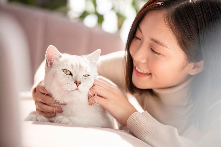 「好きな猫のパーツ」ランキング