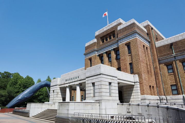 『特別展「鳥～ゲノム解析が解き明かす 新しい鳥類の系統～」』 場所： 国立科学博物館（東京都） 開催： 開催中〜2025年2月24日（月・振） 開館 ： 9:00〜17:00（入館は閉館の30分前まで） 閉館 ：月曜、12月28日〜1月1日、14日 ＊ただし12月23日、1月13日、2月17日、24日は開館 050-5541-8600（ハローダイヤル）