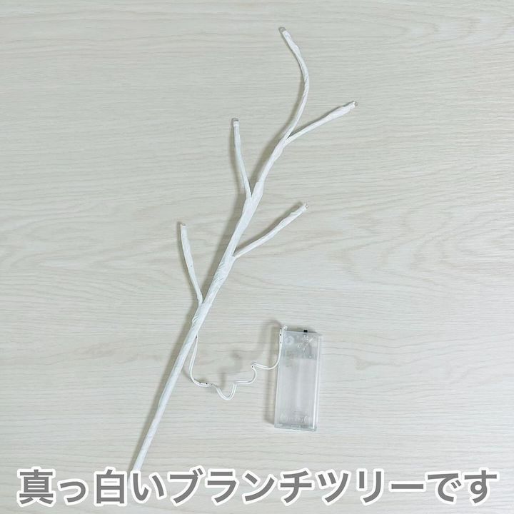 画像2: 出典：Instagram