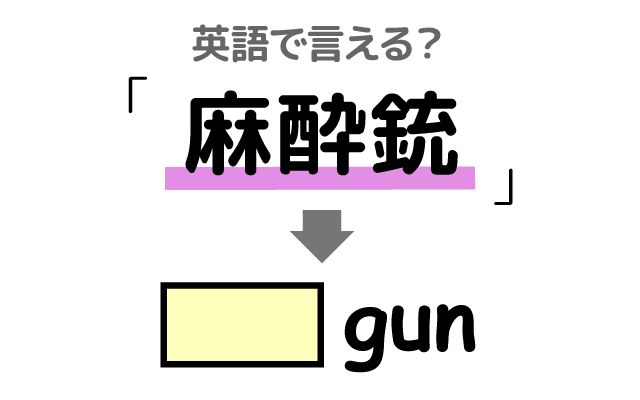 英語で【麻酔銃】は何て言う？「逃げ出した」などの英語もご紹介