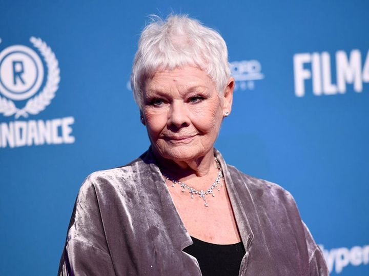 画像: ジュディ・デンチが鳥を飼うことをオススメ