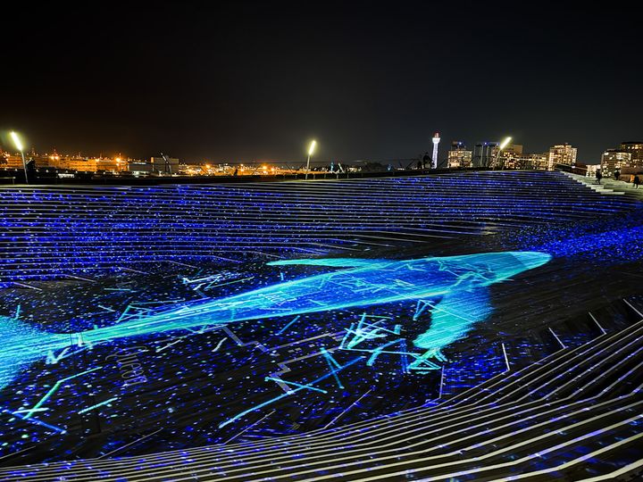 「ハイライト・オブ・ヨコハマ」のイベント「大さん橋くじら座」の様子