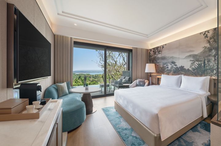 バルコニーにプランジプールを備えた「ラグジュアリースイート」。