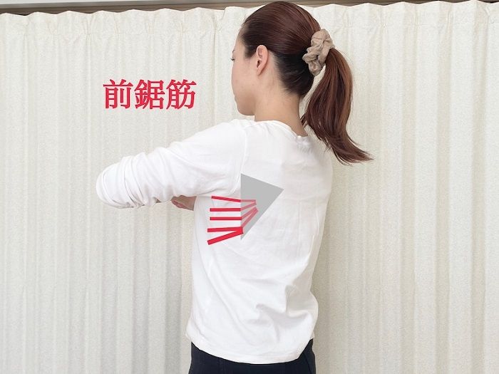 前鋸筋を記した図