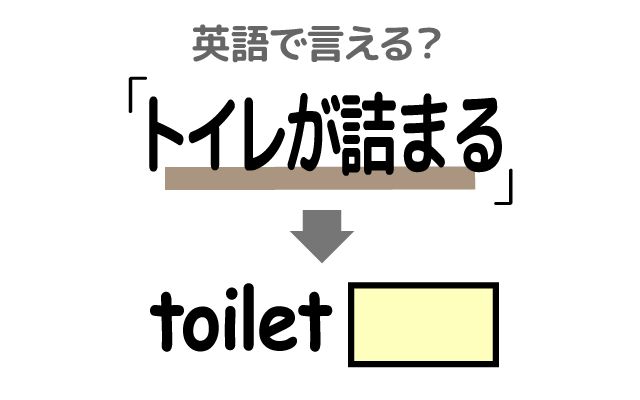 英語で【トイレが詰まる】は何て言う？「トイレットペーパー」などの英語もご紹介