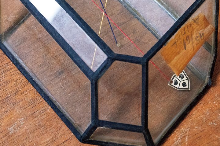 ドイツ〈クランツ商会〉のガラス製の模型