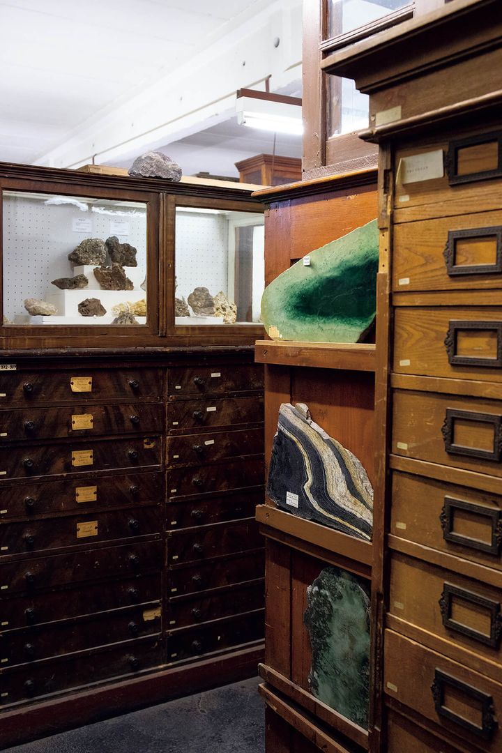 ドイツ〈クランツ商会〉のアーカイブ室