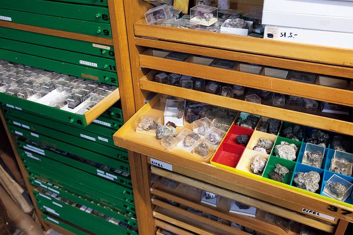 ドイツ〈クランツ商会〉のアーカイブ室